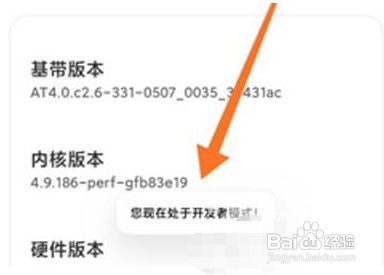 小米12开发者选项在哪里呢
