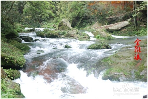 拍客张家界《旅行好帮手》