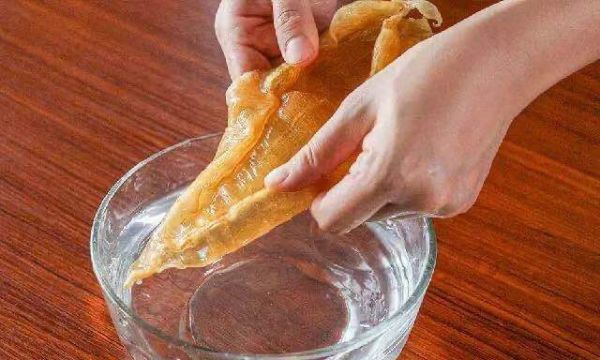 如何正确泡发鱼胶