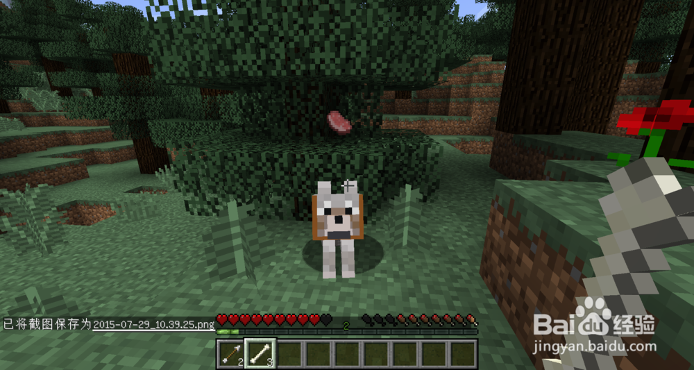 《我的世界生存手册》之我的动物朋友（狗）