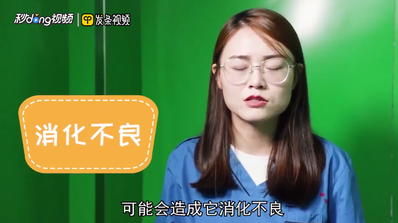 狗狗能吃红枣吗