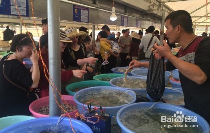 涠洲岛自由行攻略