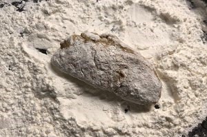 外脆里嫩的蒜香炸鸡翅