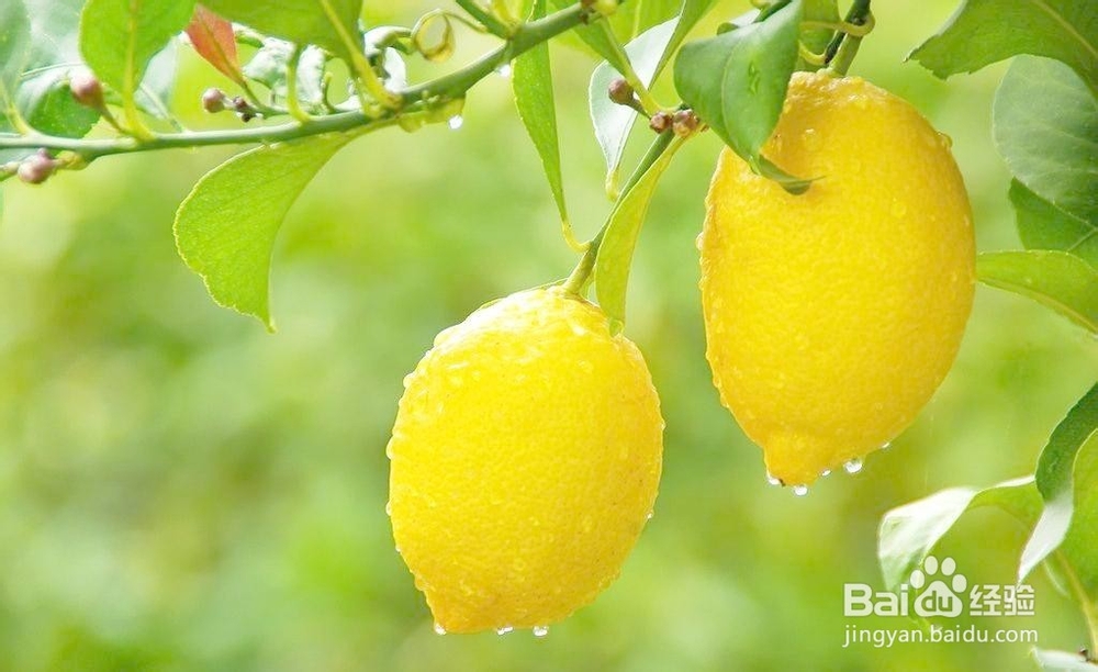 不要为痘痘过多的烦恼