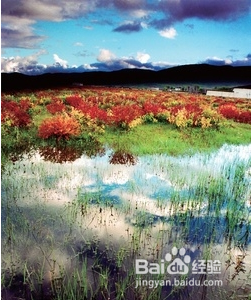 如何拍出美妙的风景照片