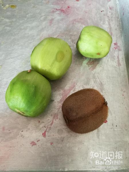 白酒设备之猕猴桃酒