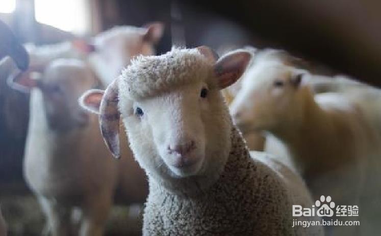 怎样使自己更快的进入睡眠状态