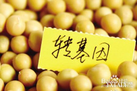 解读新版食品安全法通过 有哪些重要变化?