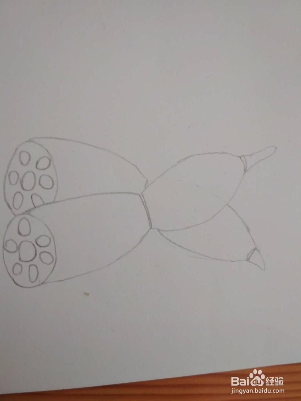 多妈简笔画蔬菜两段藕