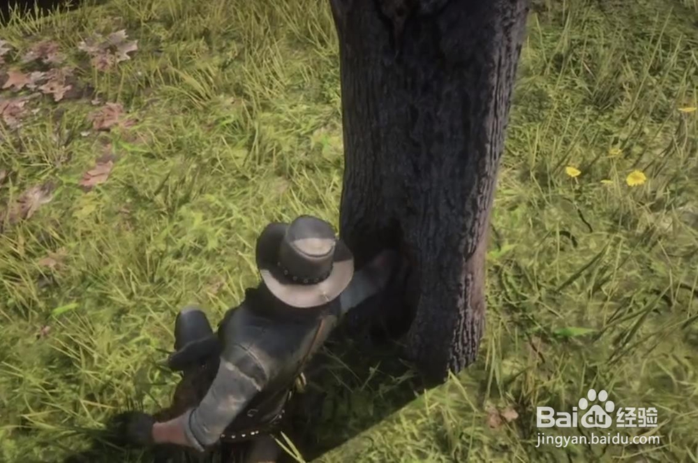 荒野大镖客2毒蛇之痕藏宝图位置 宝藏获取方法