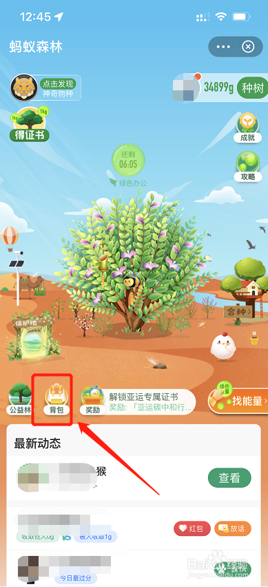 如何设置蚂蚁森林的皮肤背景