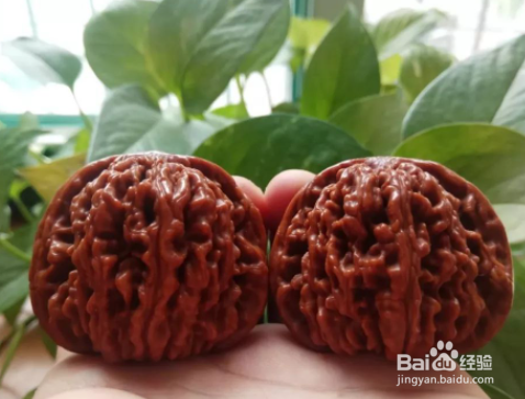 核桃怎么盘玩效果最好