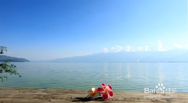 女性如何释放职场压力?