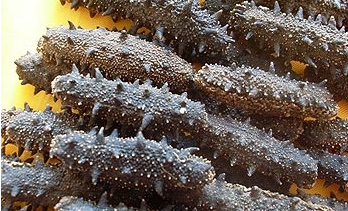 轻松熬制美味营养的奶汤海参