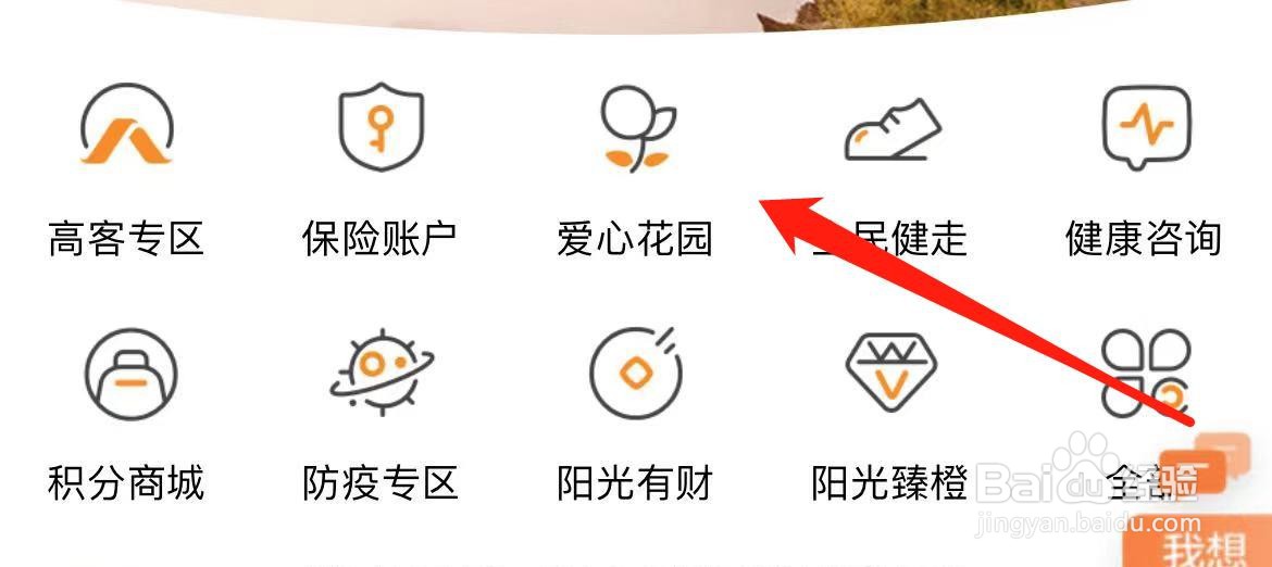 我家阳光爱心花园如何进入