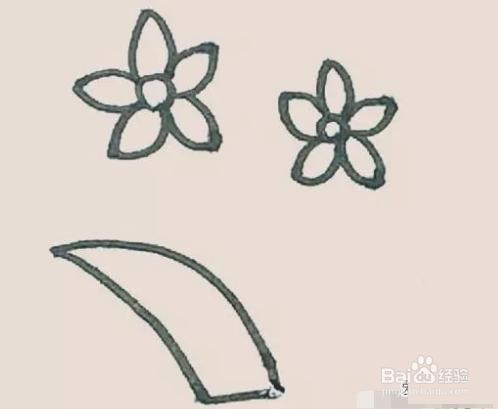 迷人的水仙花