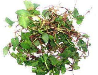 又感冒了，怎么办