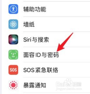 iPhone怎么设置替用外貌功能