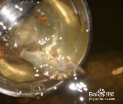 夏天夜钓都需要注意什么