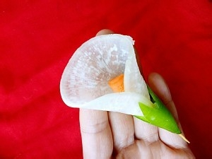 食补佳品萝卜花