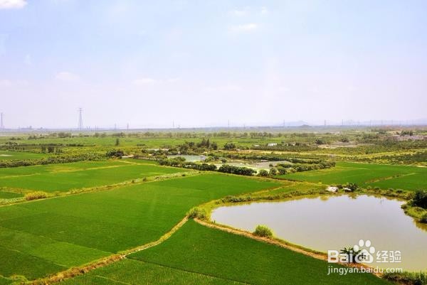 不能设立抵押的财产有哪些？