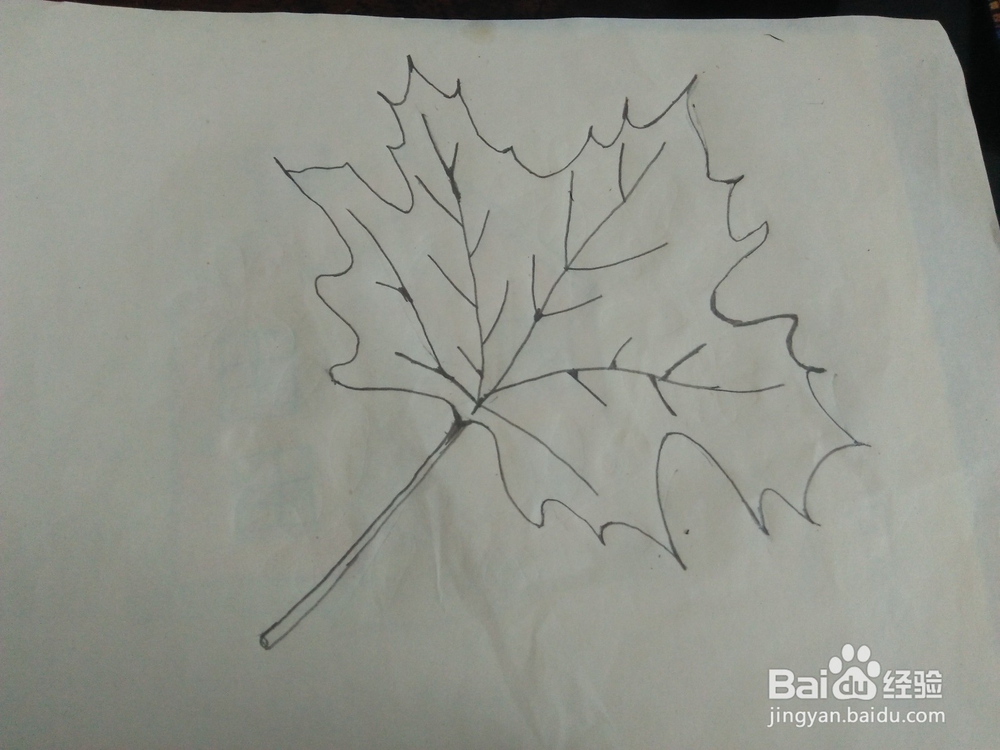简笔画如何画枫叶
