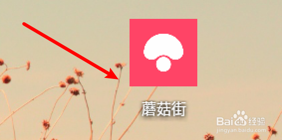 蘑菇街怎么设置个人的性别信息