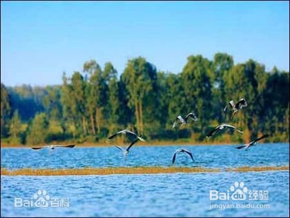 企业所在地区对股票的影响。