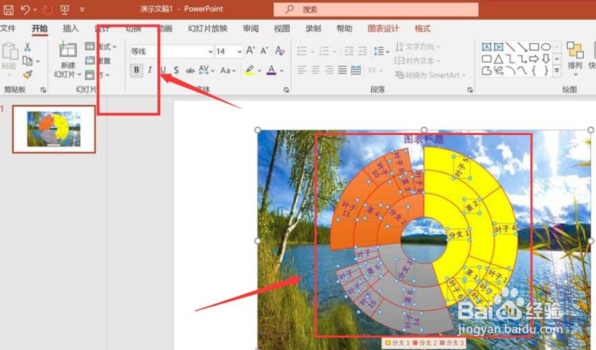 ppt怎么加粗图表文字