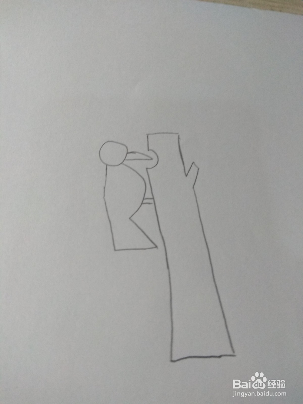 简笔画—画出一个啄木鸟