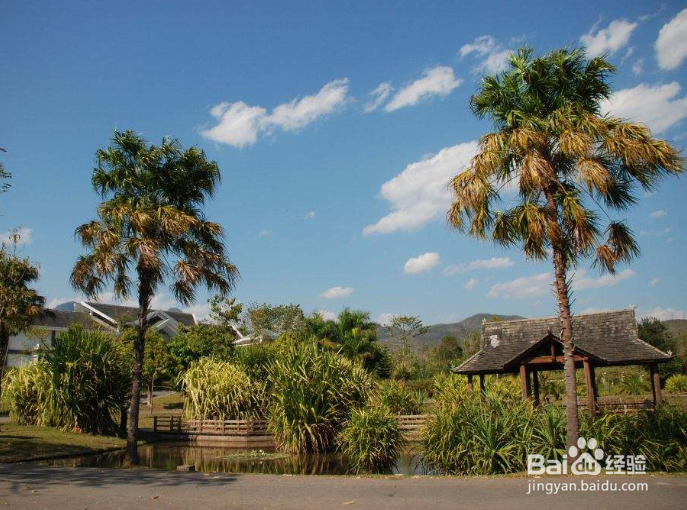 云南旅游全攻略