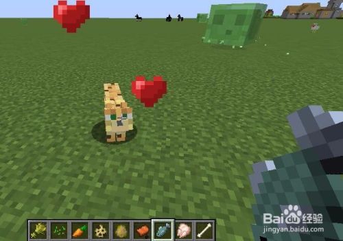 Minecraft中如何驯服饲养各类动物 百度经验