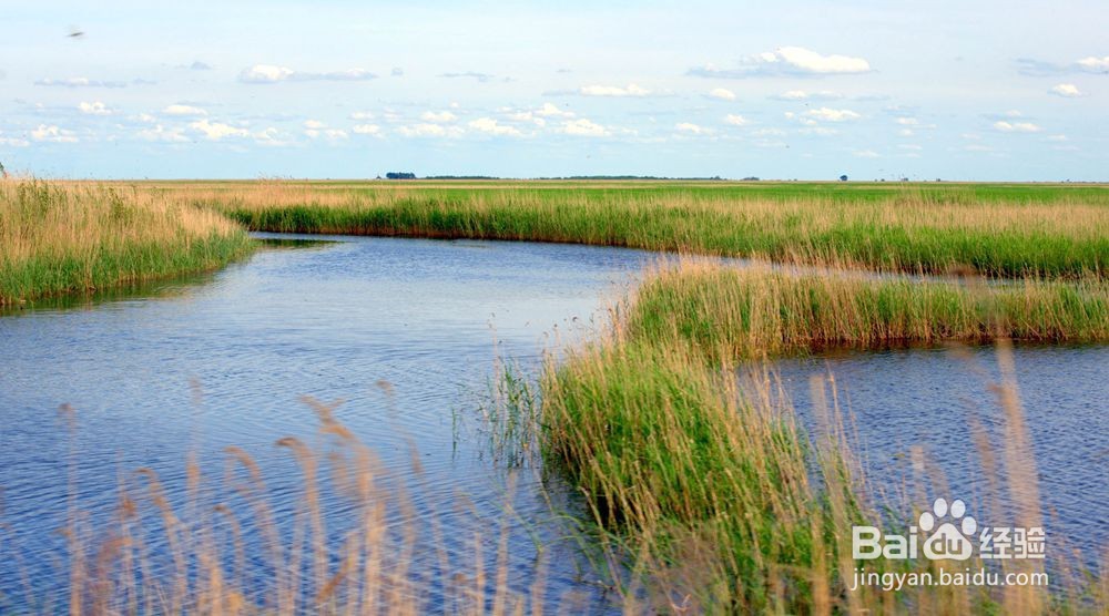 【摄影技巧】初级摄影构图四要素