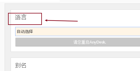 AnyDesk设置显示语言