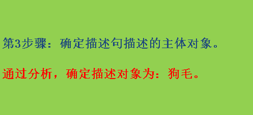 小狗的毛怎么形容