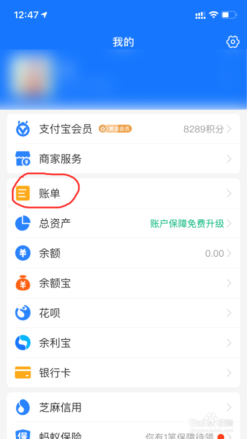 支付宝怎么看一个月花了多少