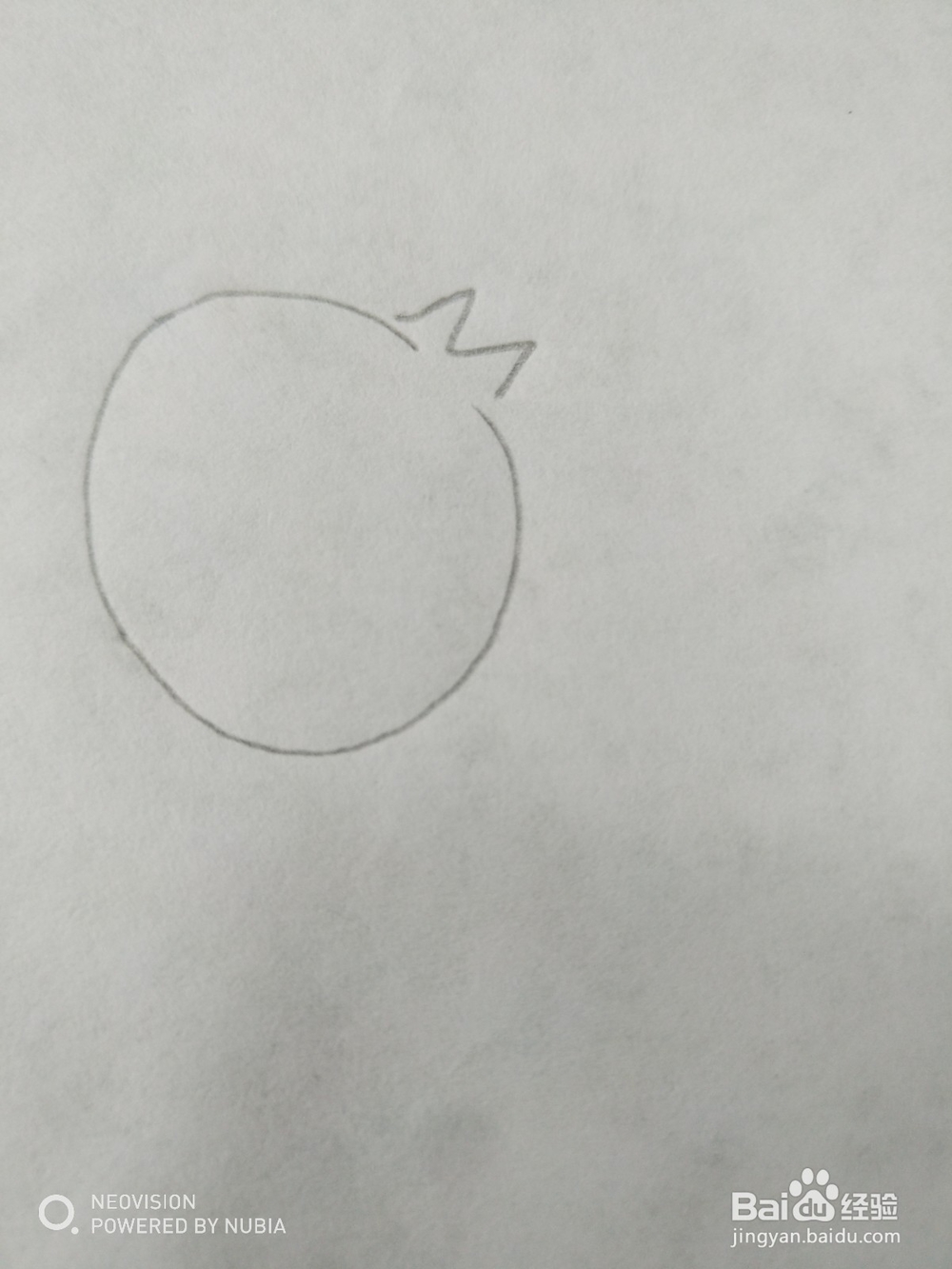 简单可爱的小鸟怎么画（四）