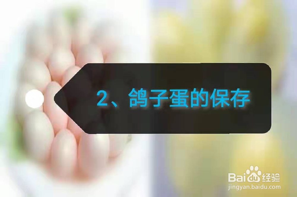 各类蛋的选购技巧及保存方法。