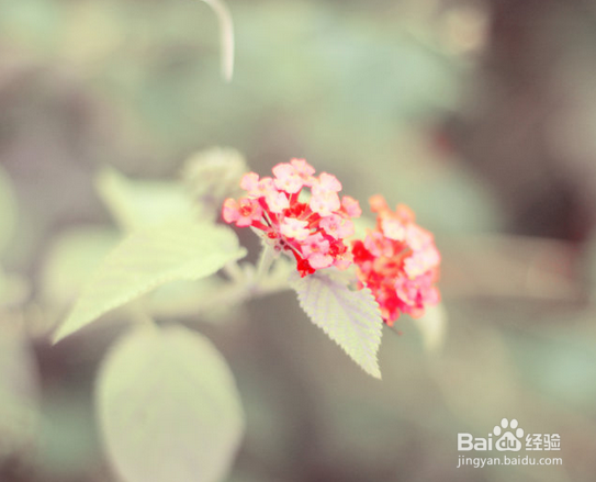 为什么我们离婚了？