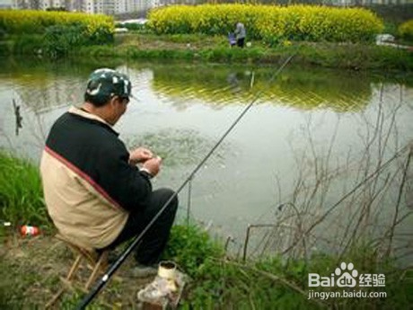 钓鱼遇到蛇怎么办