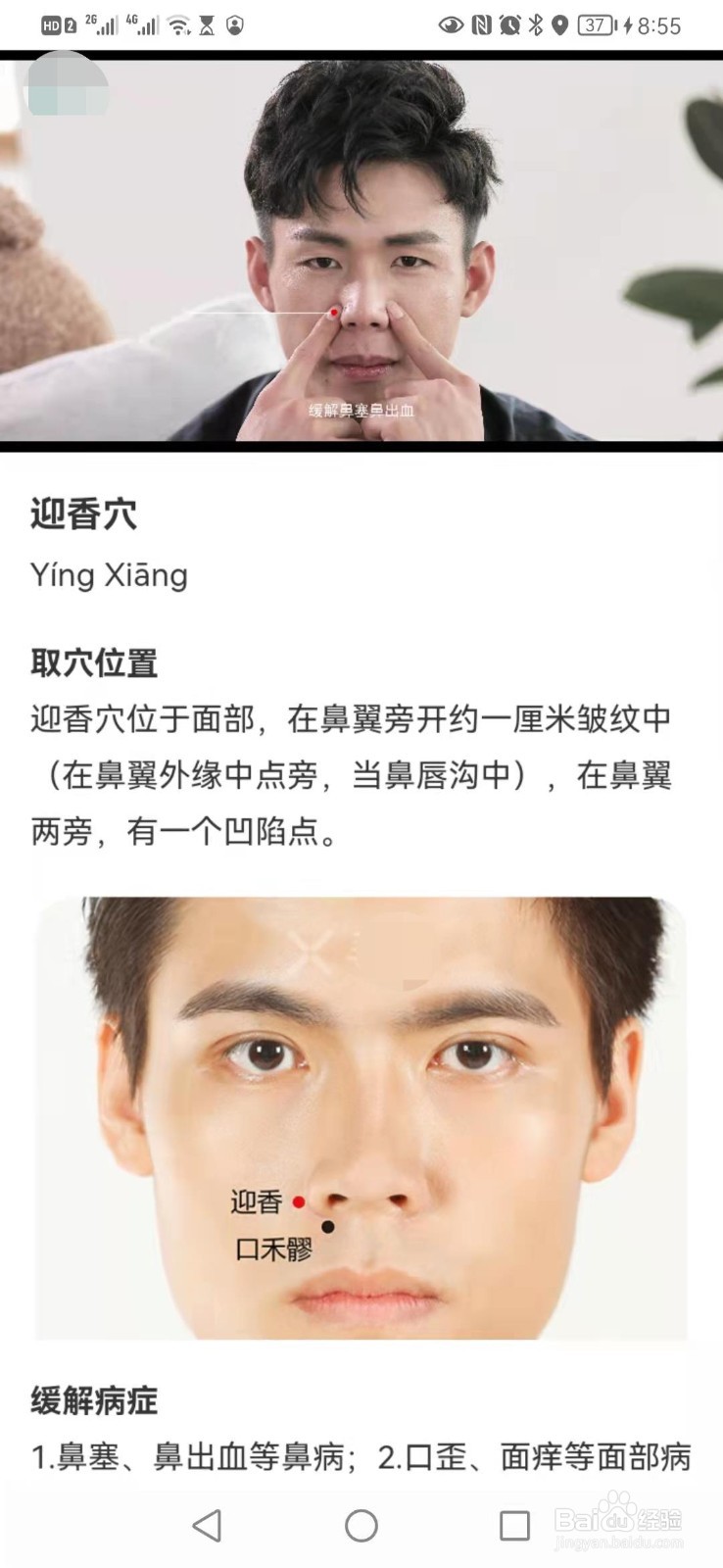 寻艾app怎么查询大肠经上迎香穴位置