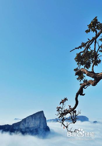 张家界旅游旺季之注意事项详解