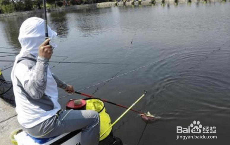 怎样测试新买的鱼竿？鱼竿的性能怎么看？