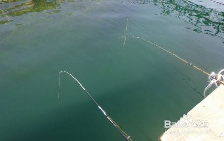 钓鱼必备知识《抛竿篇》