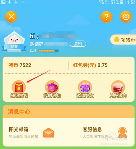 阳光养猪场怎么玩