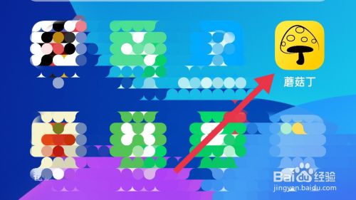 蘑菇丁软件怎样设置或修改自己的头像