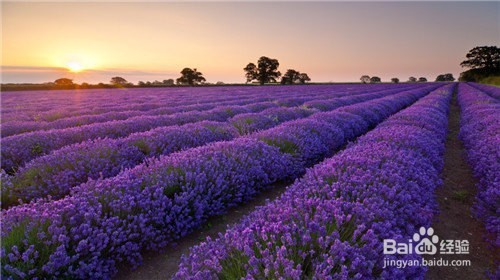 如何改善睡眠质量