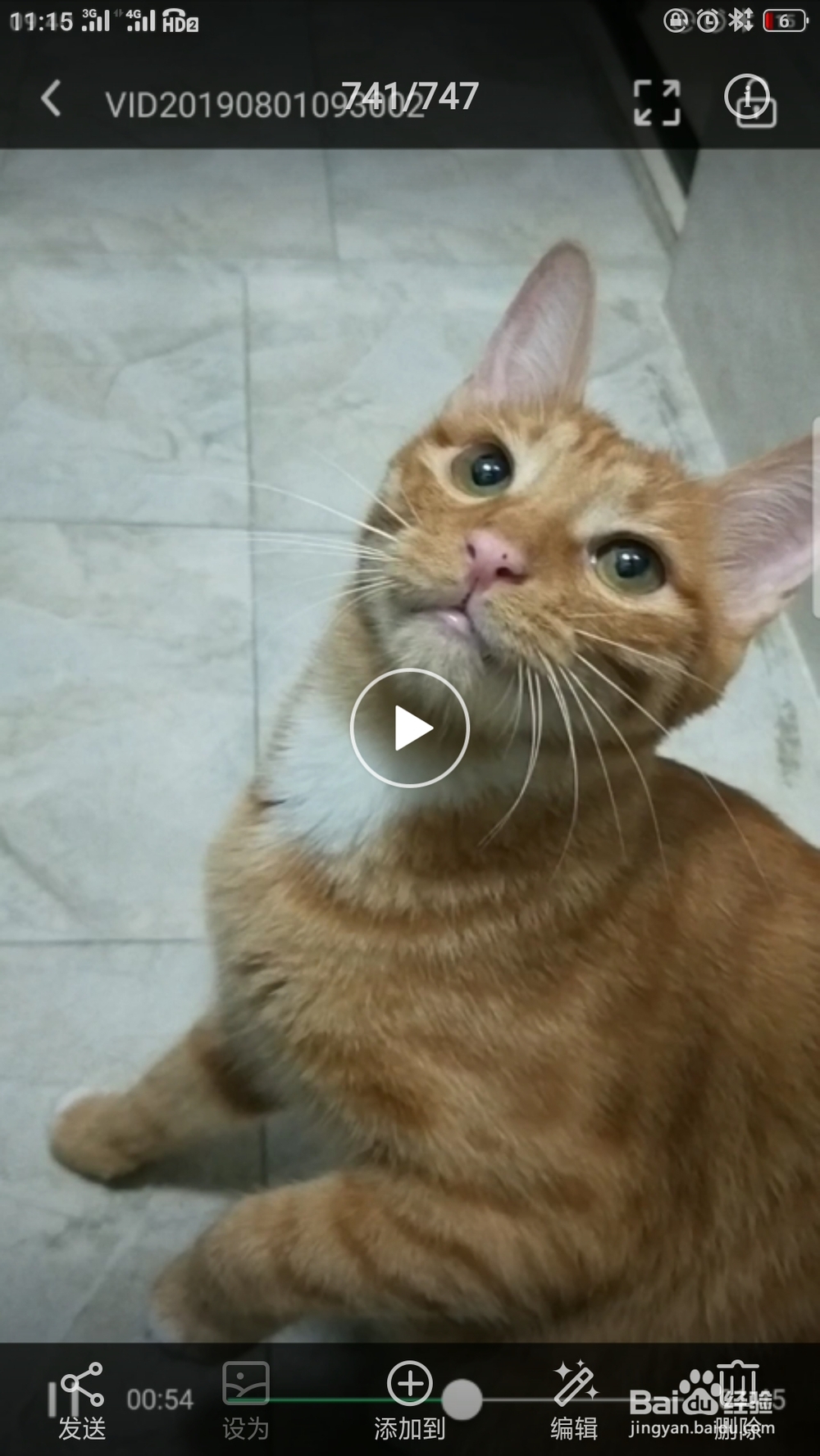 诱惑味蕾的板栗鸡汤面