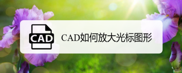 <b>CAD如何放大光标图形</b>