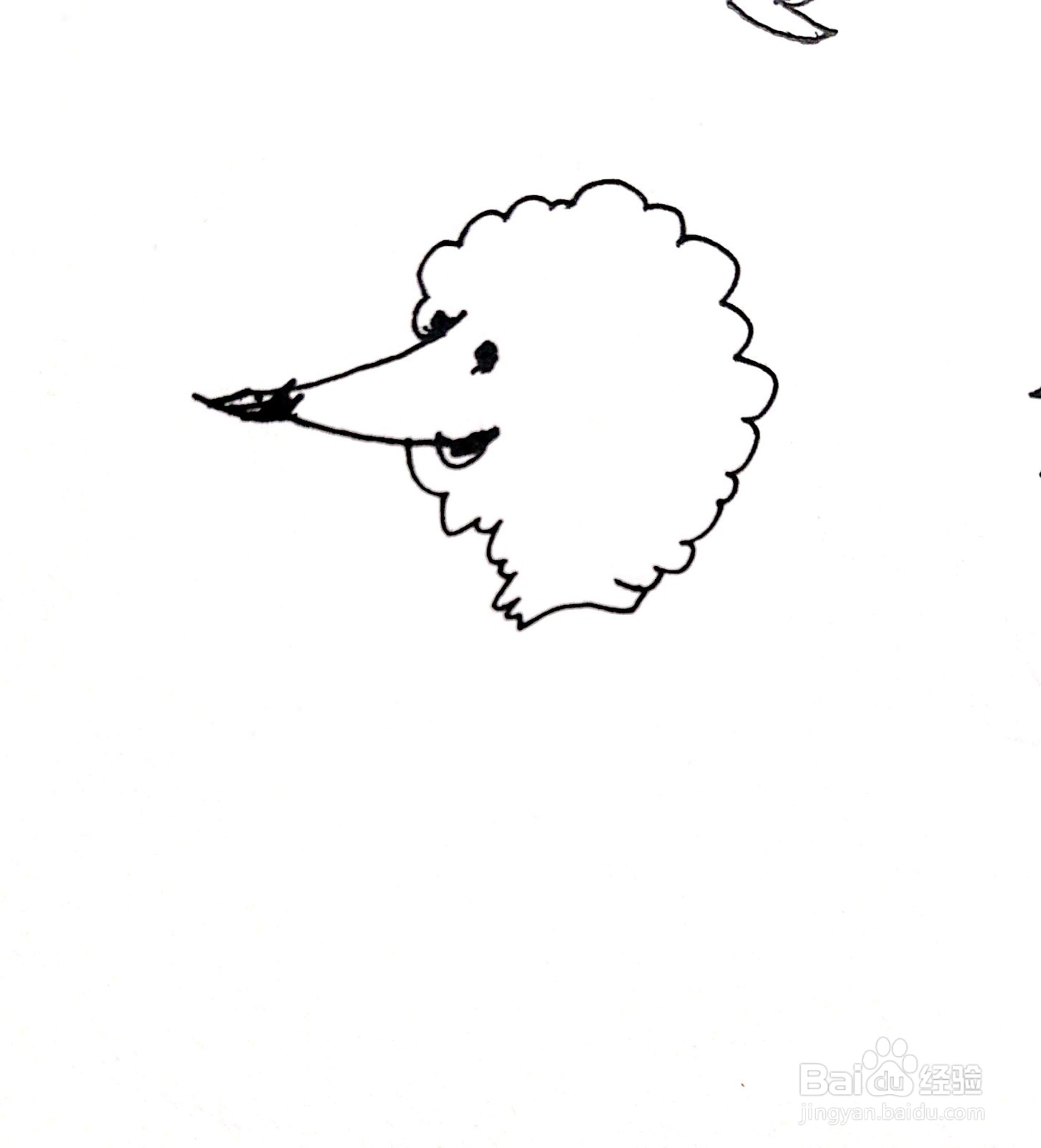 尖鼻子的小羊线描画怎么画